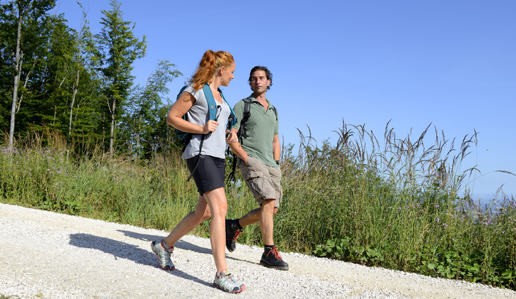 Zwei Wanderer gehen Berg ab