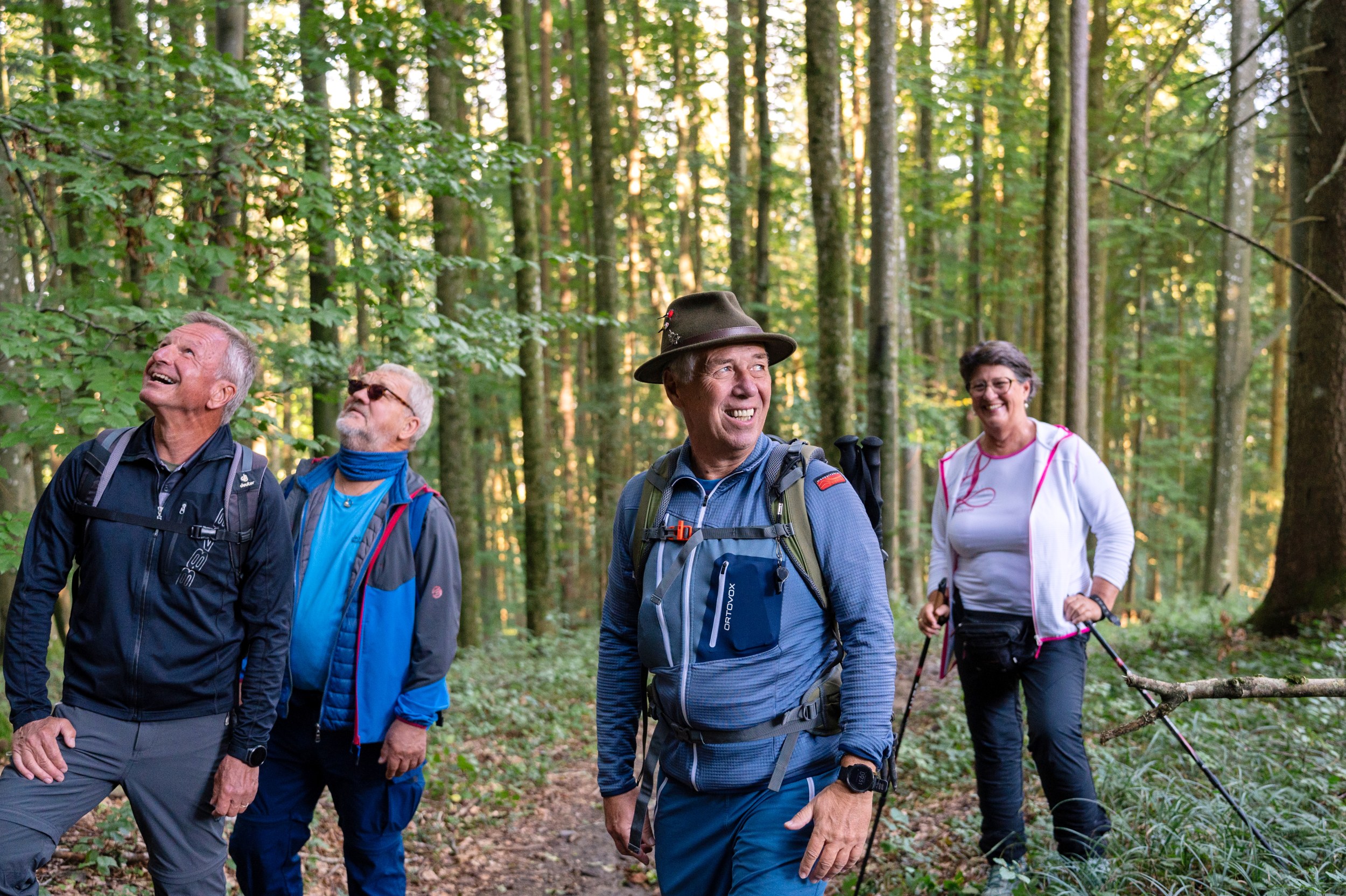 Wandergruppe im Wald